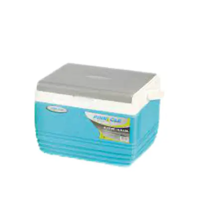 Portable cooler box for keeping food and drinks cold and fresh